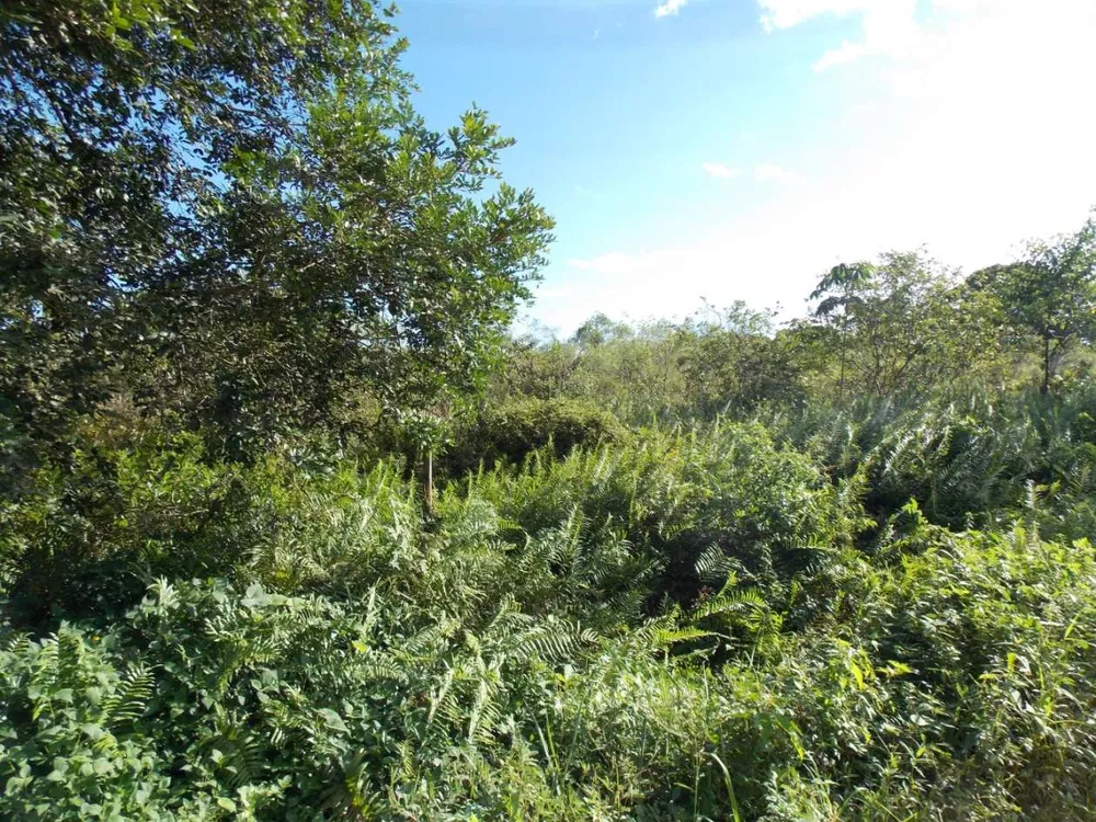 Terreno, 6800 m² - Foto 6