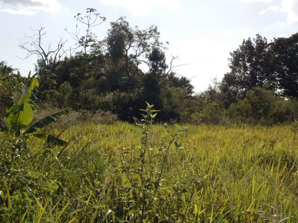 Terreno, 6800 m² - Foto 19