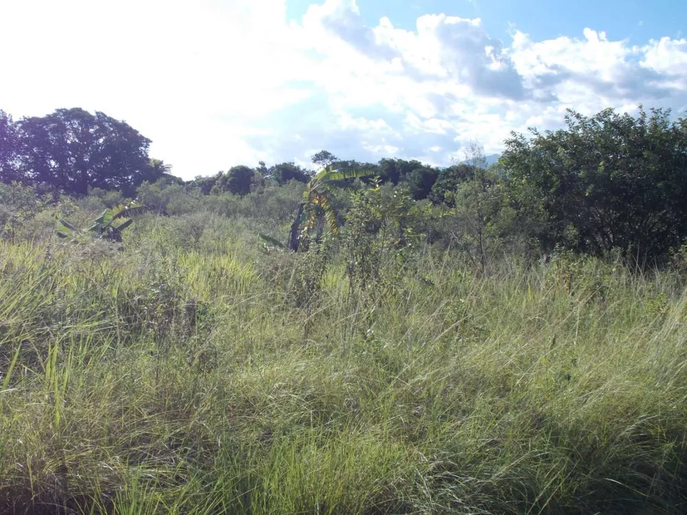 Terreno, 6800 m² - Foto 17