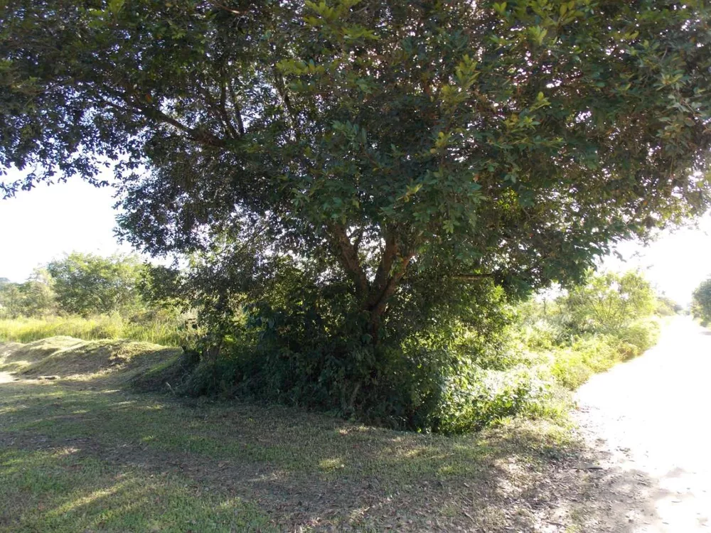 Terreno, 6800 m² - Foto 8