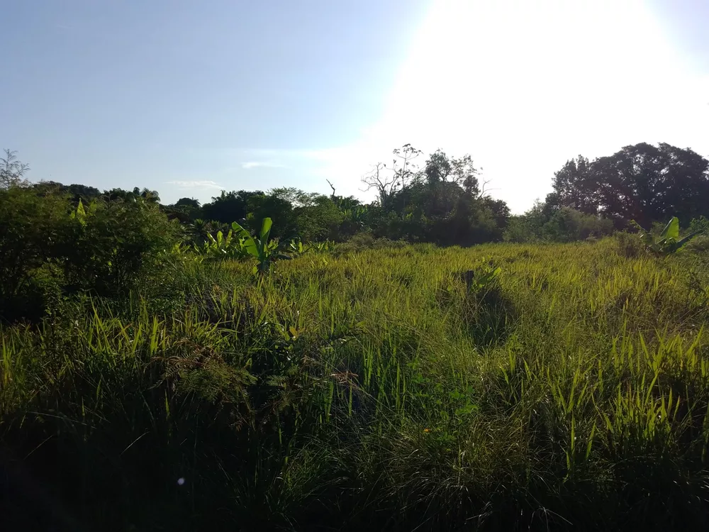 Terreno, 6800 m² - Foto 24