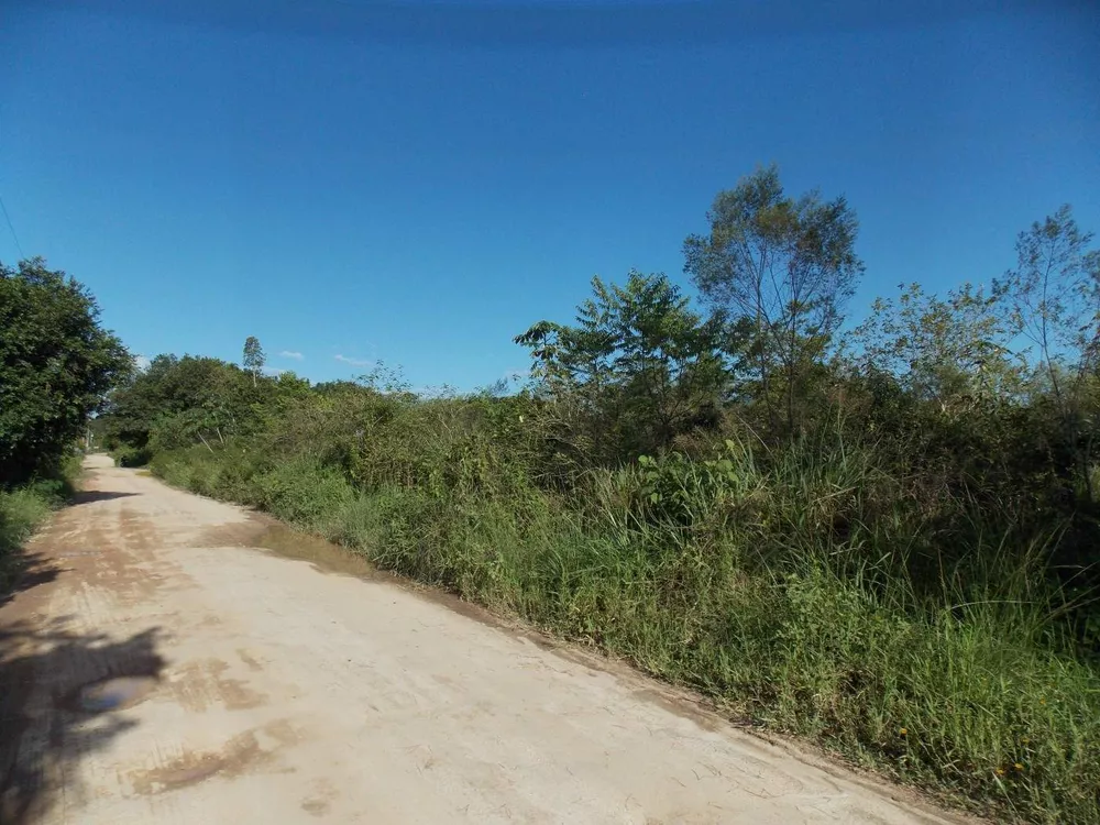 Terreno, 6800 m² - Foto 5