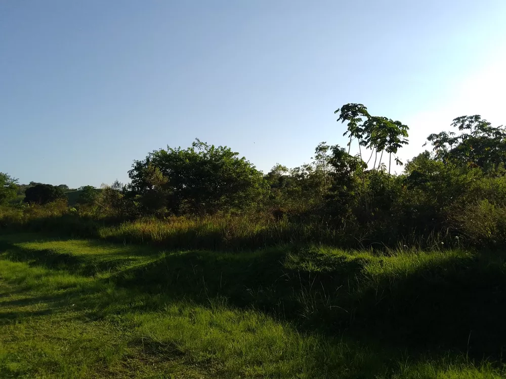 Terreno, 6800 m² - Foto 33