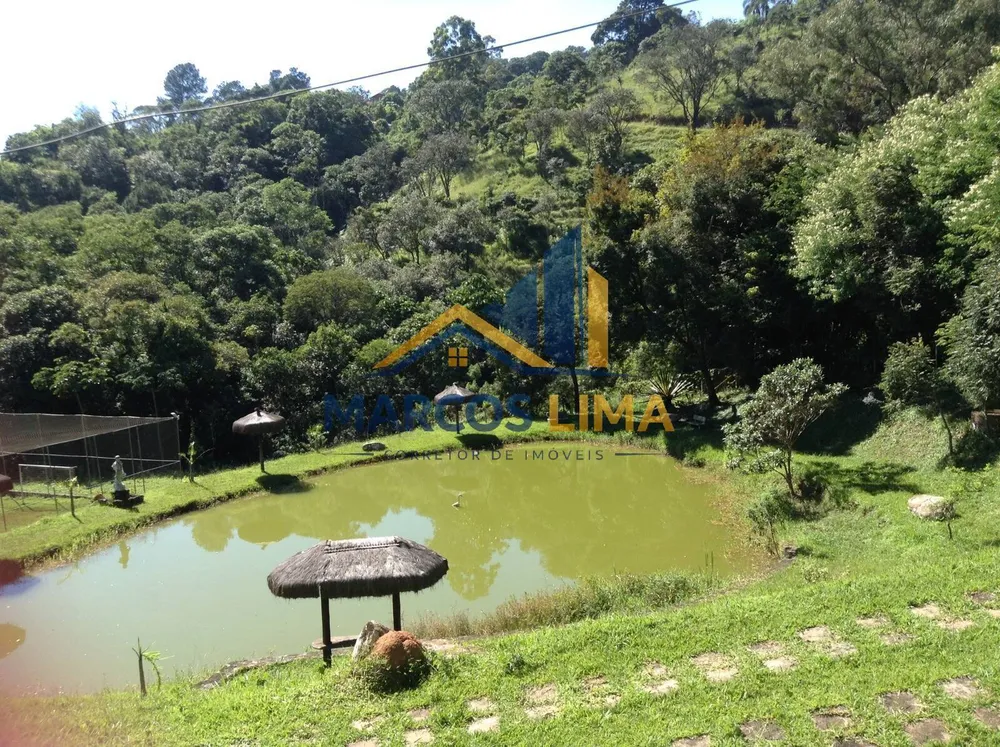 Sítio, 8 quartos, 2 hectares - Foto 6