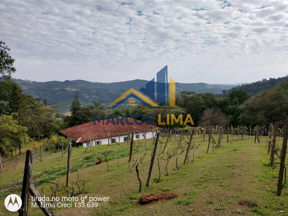 Sítio, 3 quartos, 5 hectares - Foto 3