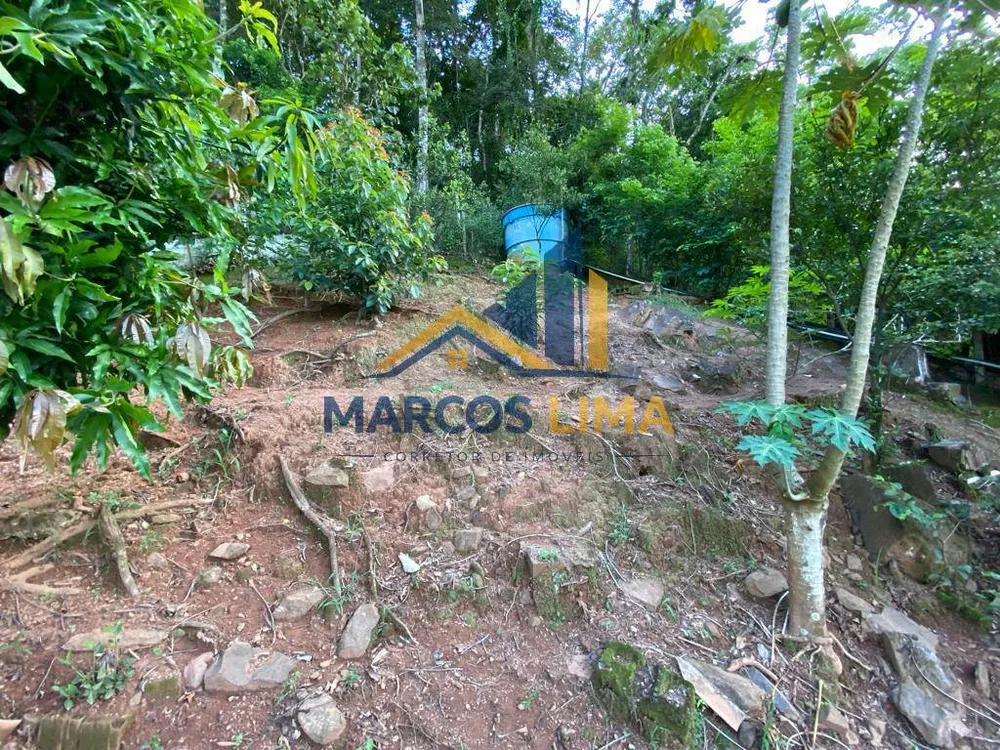 Chácara, 3 quartos, 1375 m² - Foto 6