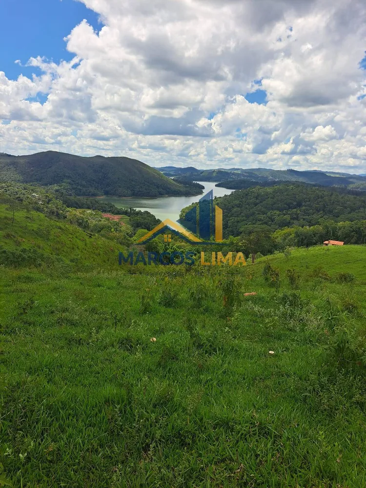 Terreno, 4 hectares - Foto 6
