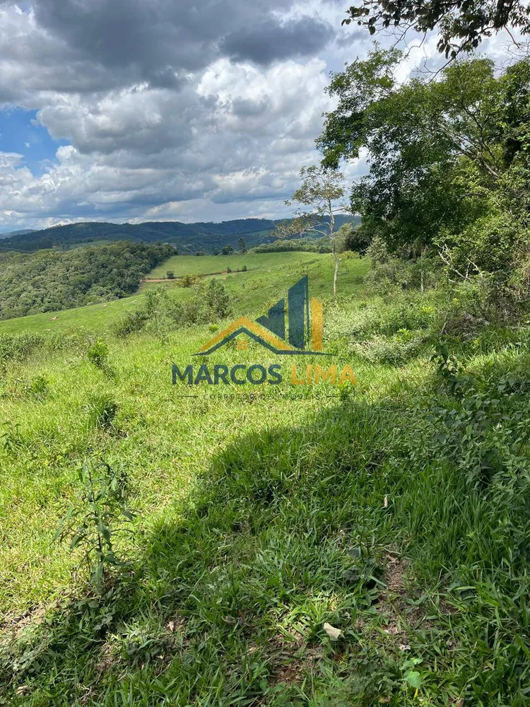 Terreno, 4 hectares - Foto 4
