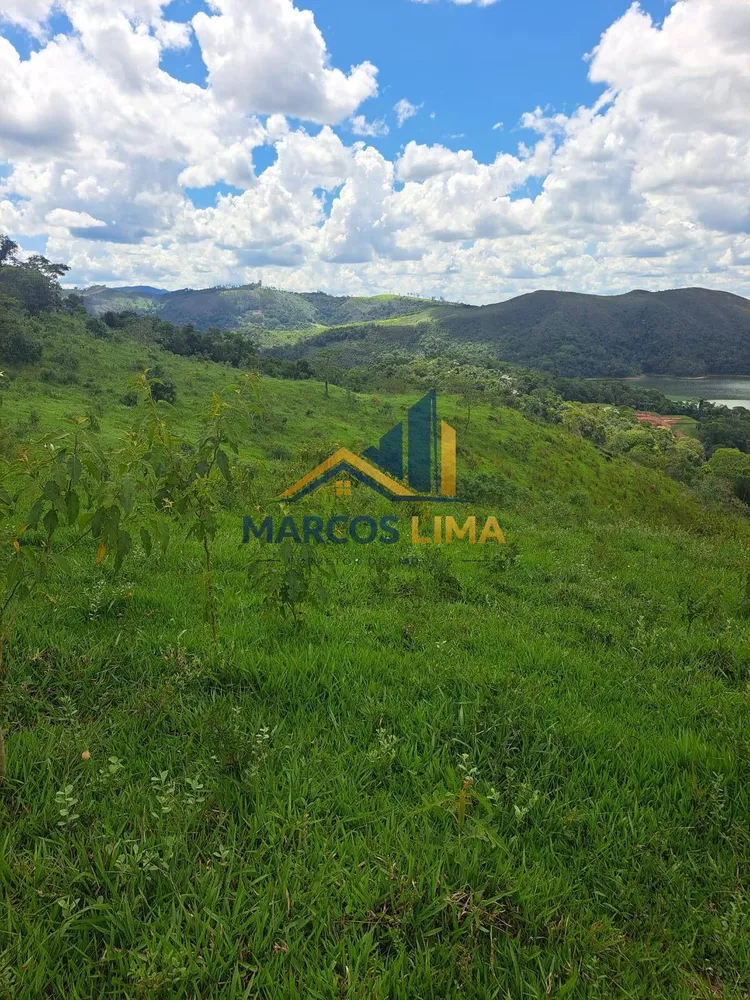 Terreno, 4 hectares - Foto 5