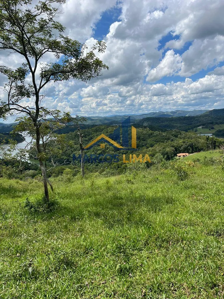 Terreno, 4 hectares - Foto 7