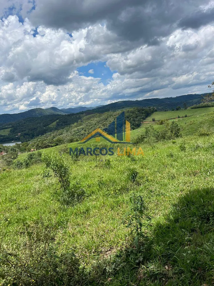 Terreno, 4 hectares - Foto 8