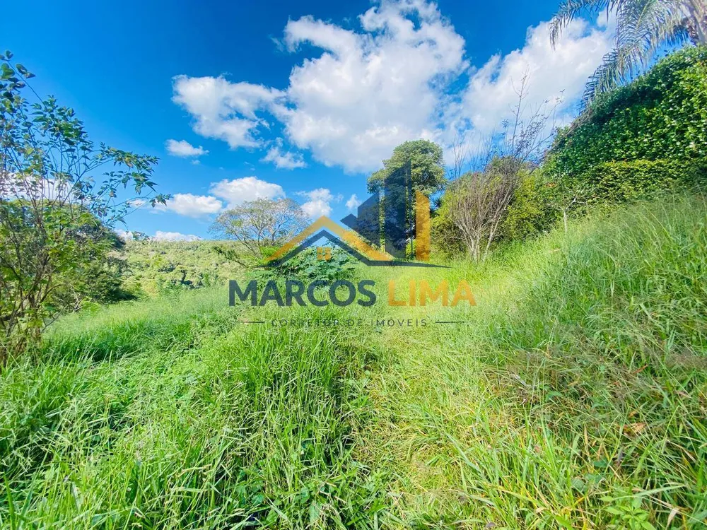 Terreno, 2 hectares - Foto 4