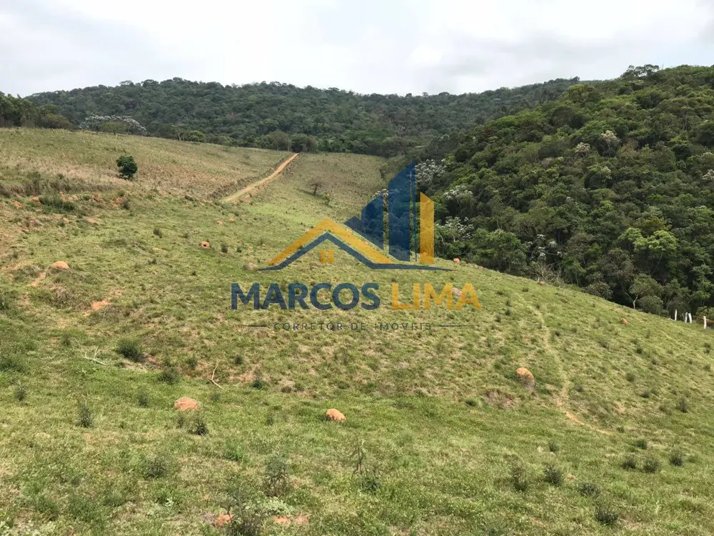 Sítio, 3 quartos, 24 hectares - Foto 4