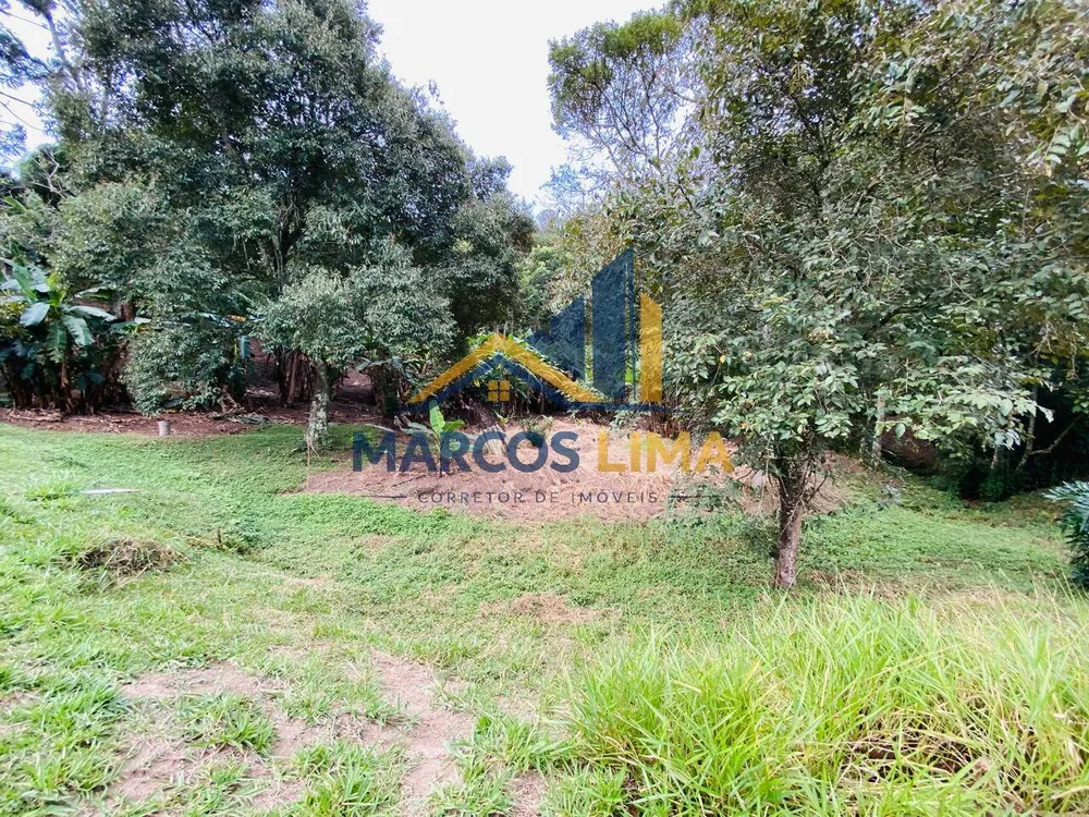 Sítio, 3 quartos, 4 hectares - Foto 8