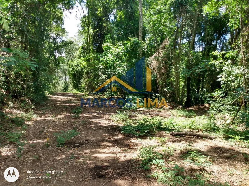 Terreno, 22 hectares - Foto 10