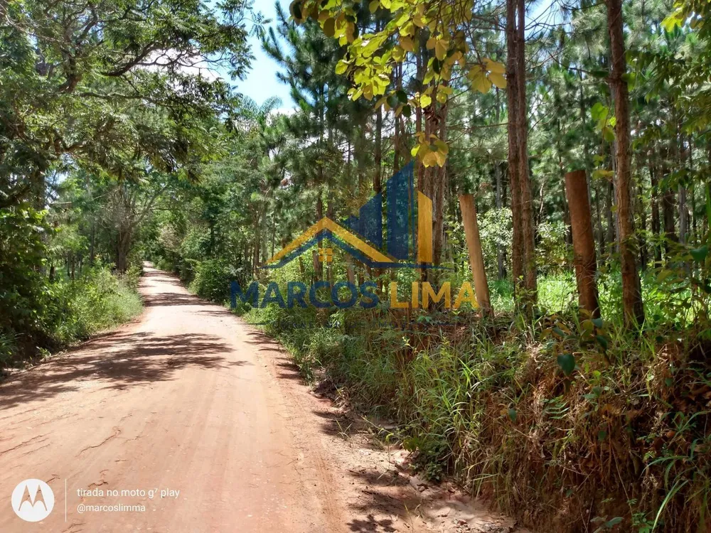 Terreno, 22 hectares - Foto 4