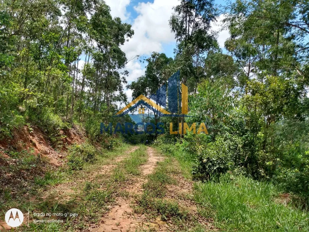 Terreno, 22 hectares - Foto 3