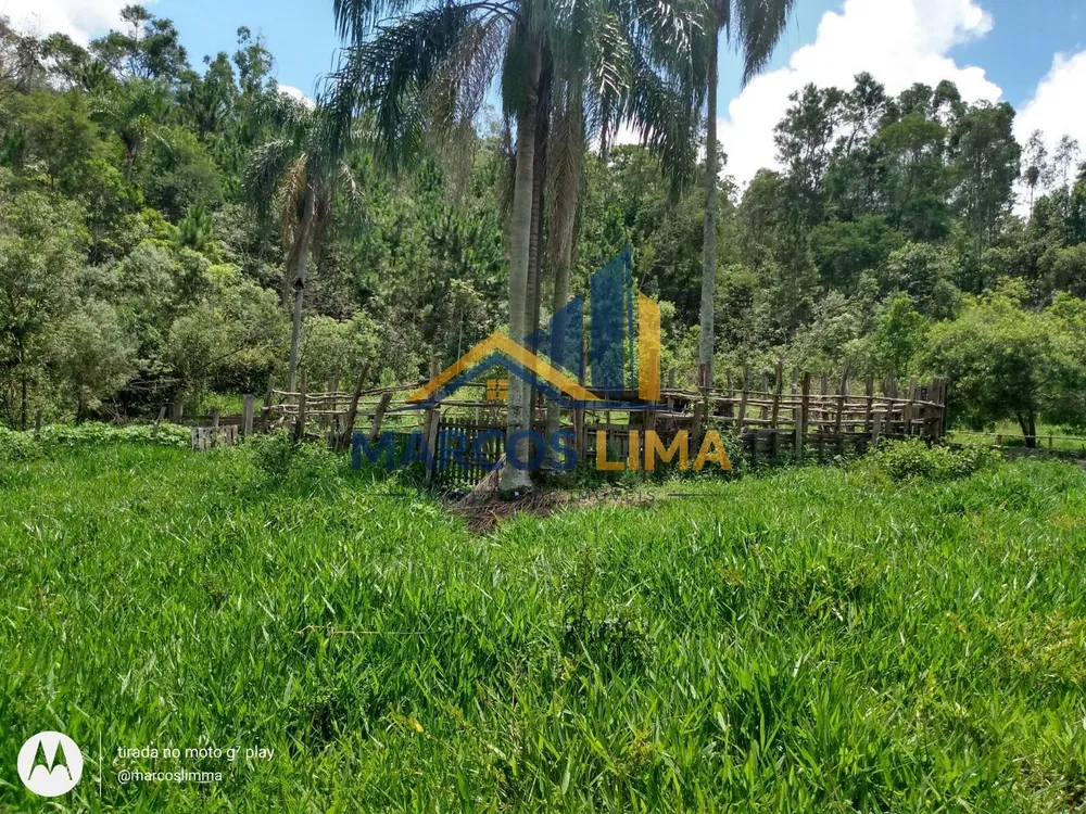 Terreno, 22 hectares - Foto 3