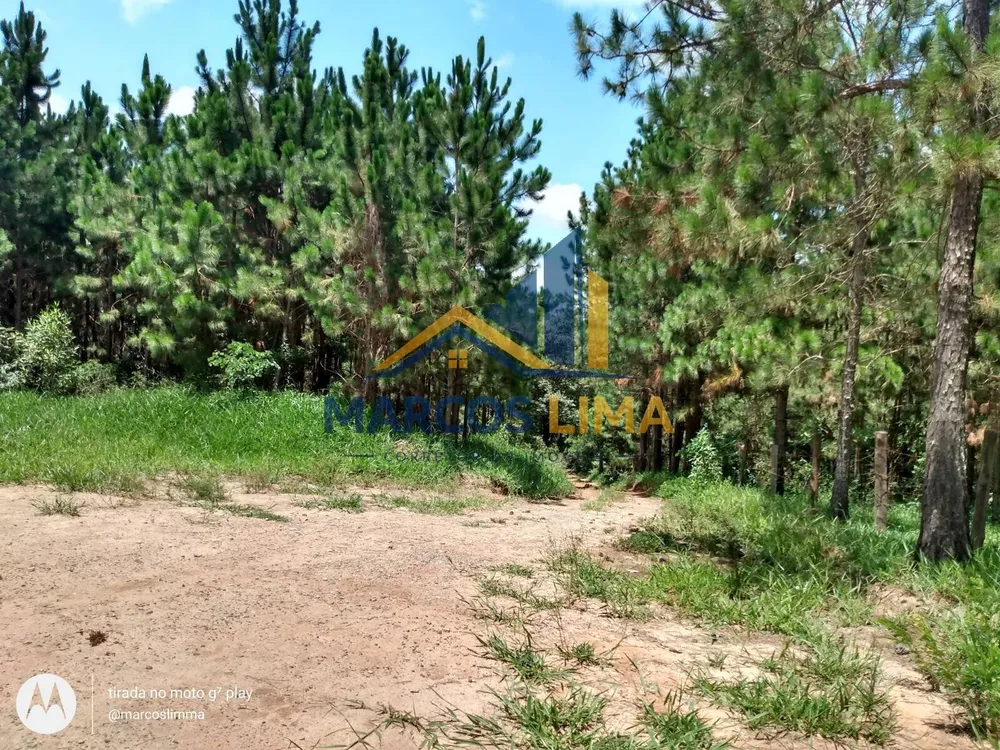 Terreno, 22 hectares - Foto 2