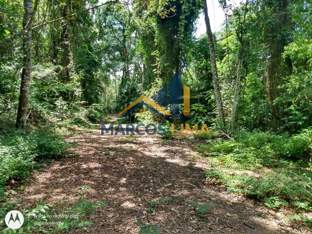 Terreno, 22 hectares - Foto 6
