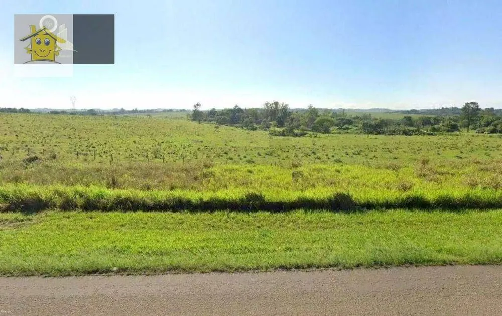 Terreno, 25 hectares - Foto 2