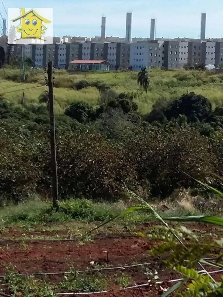 Terreno, 6 hectares - Foto 4