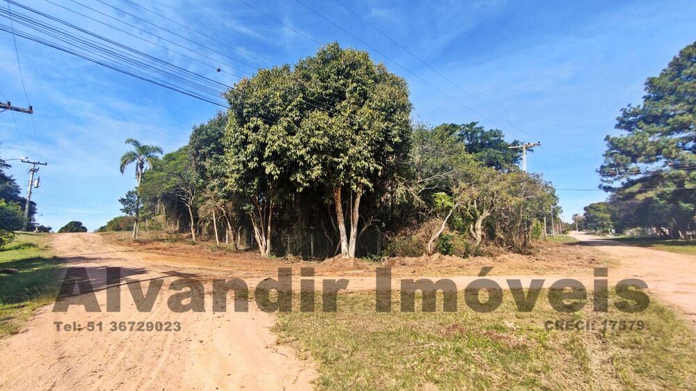 Terreno, 1596 m² - Foto 1