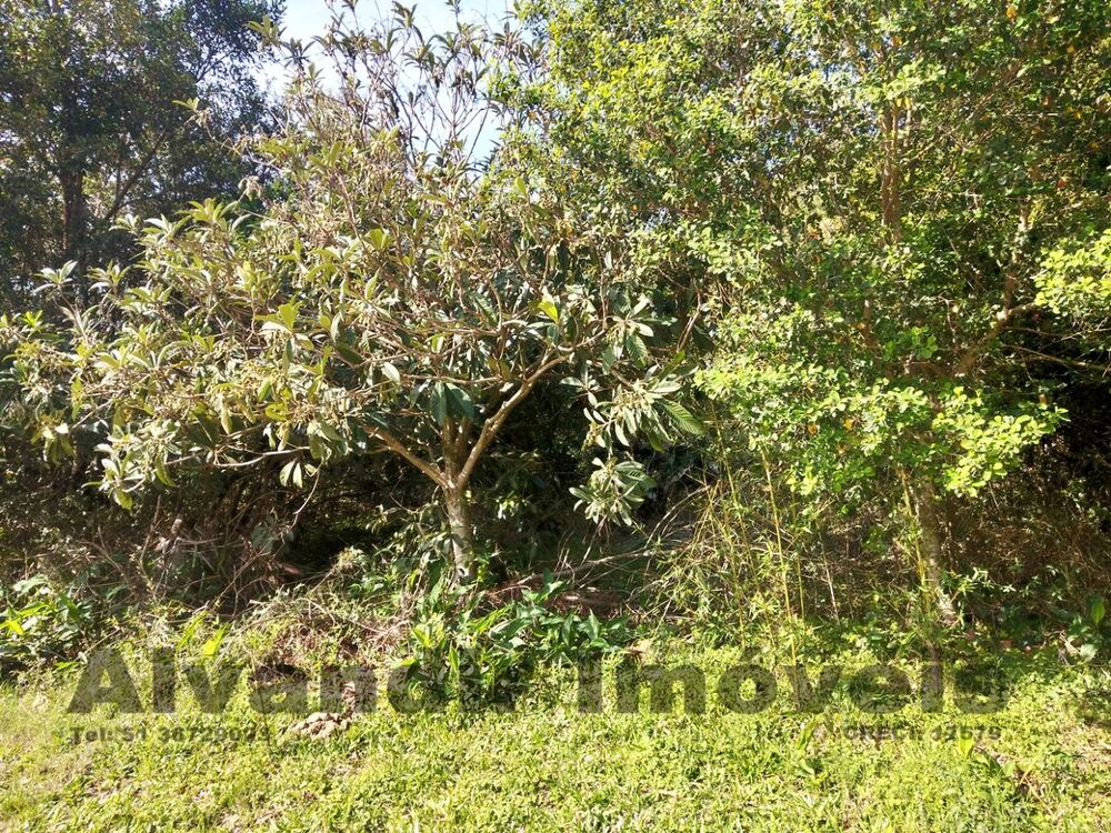 Terreno, 600 m² - Foto 2