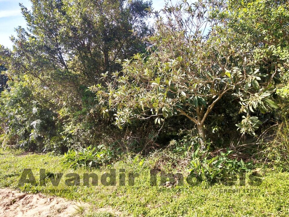 Terreno, 600 m² - Foto 1