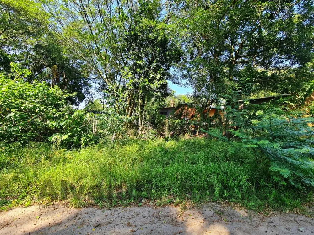 Terreno, 738 m² - Foto 3