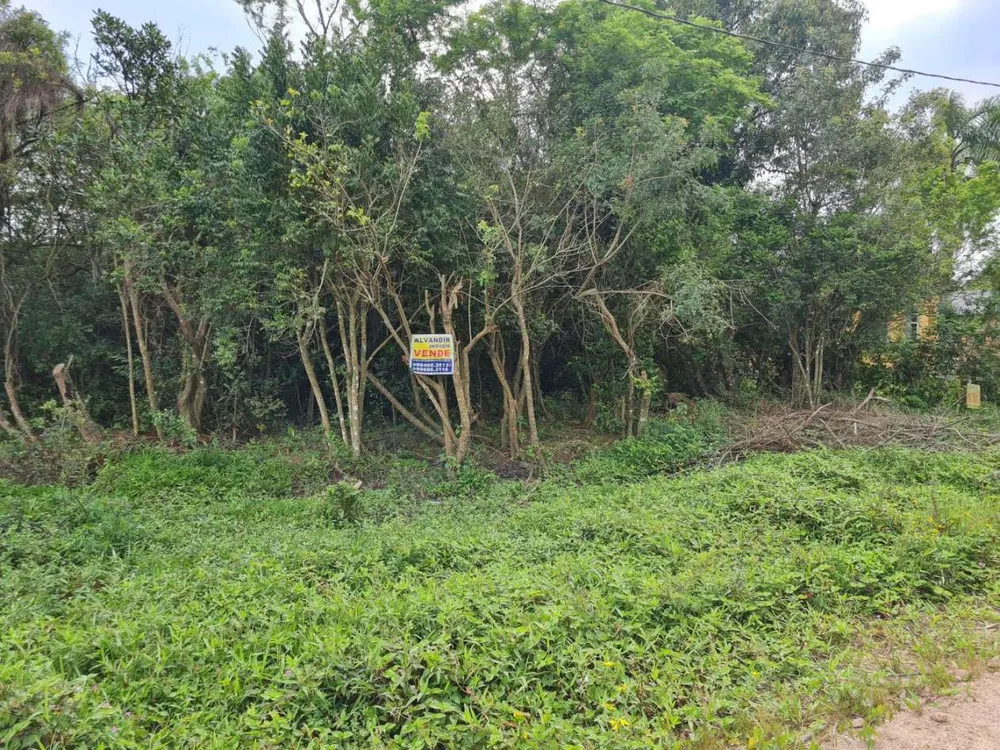 Terreno, 300 m² - Foto 1
