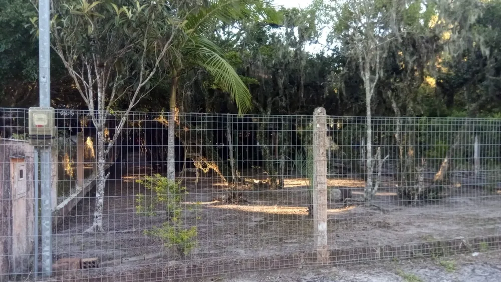 Casa, 2 quartos, 70 m² - Foto 11