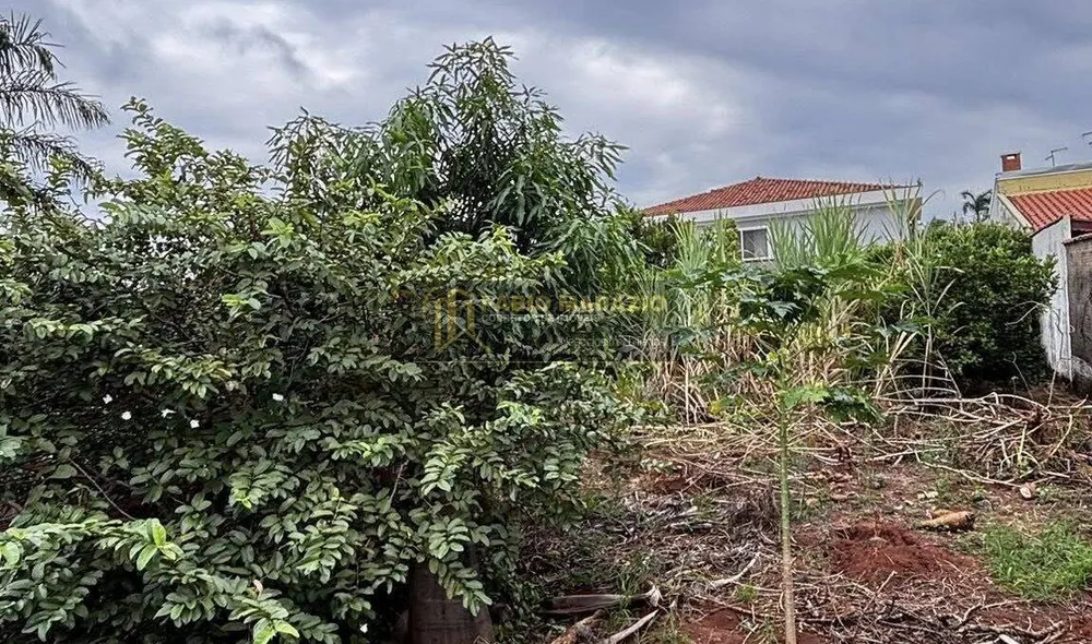 Terreno - Foto 4
