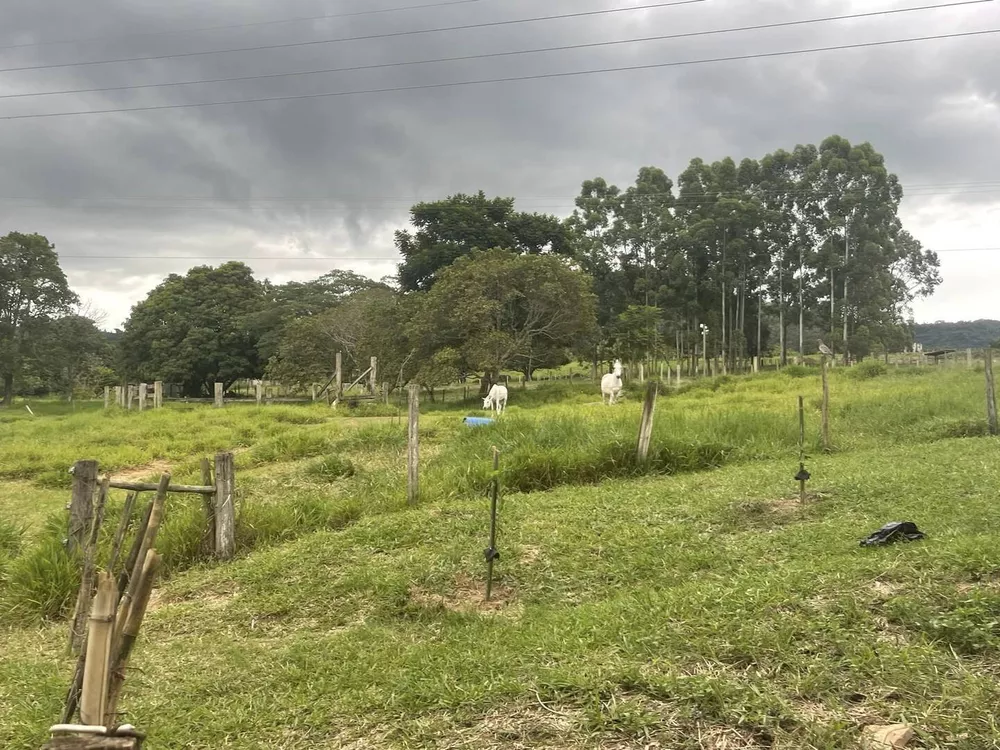 Fazenda à venda com 6 quartos, 22000m² - Foto 6