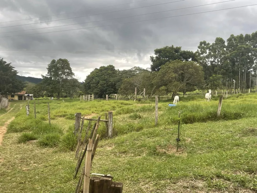 Fazenda à venda com 6 quartos, 22000m² - Foto 5