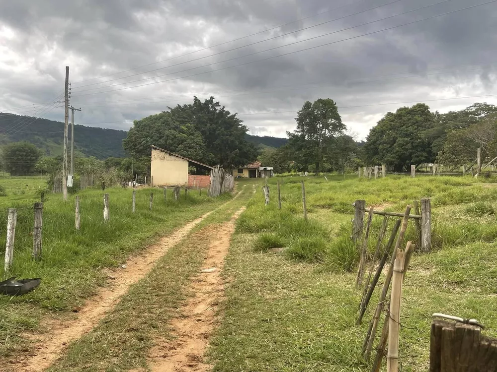 Fazenda à venda com 6 quartos, 22000m² - Foto 7