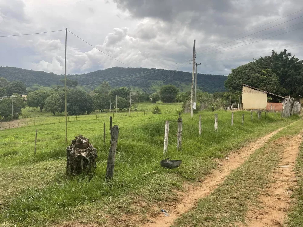 Fazenda à venda com 6 quartos, 22000m² - Foto 1