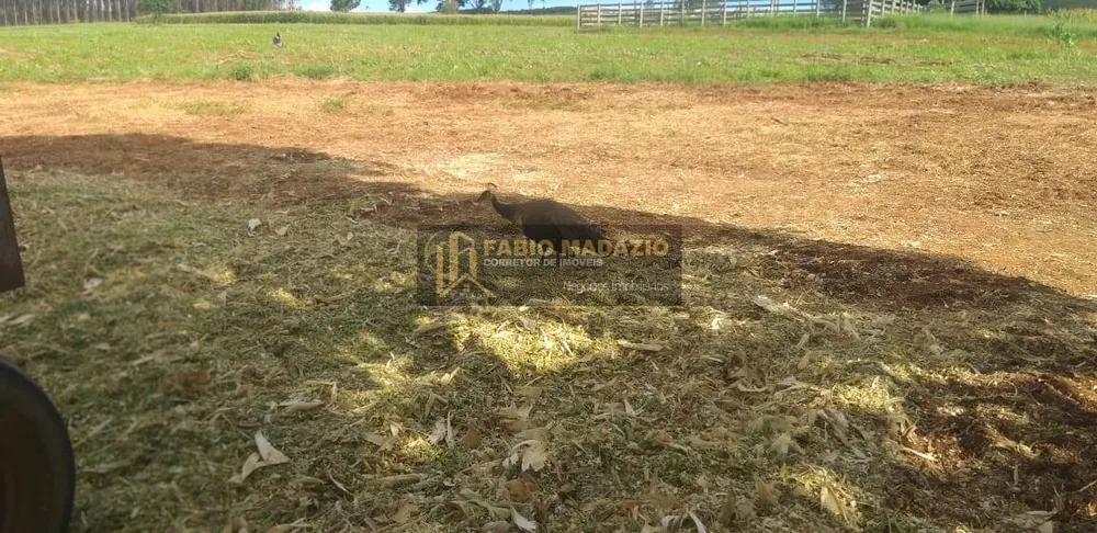 Terreno, 20 m² - Foto 7