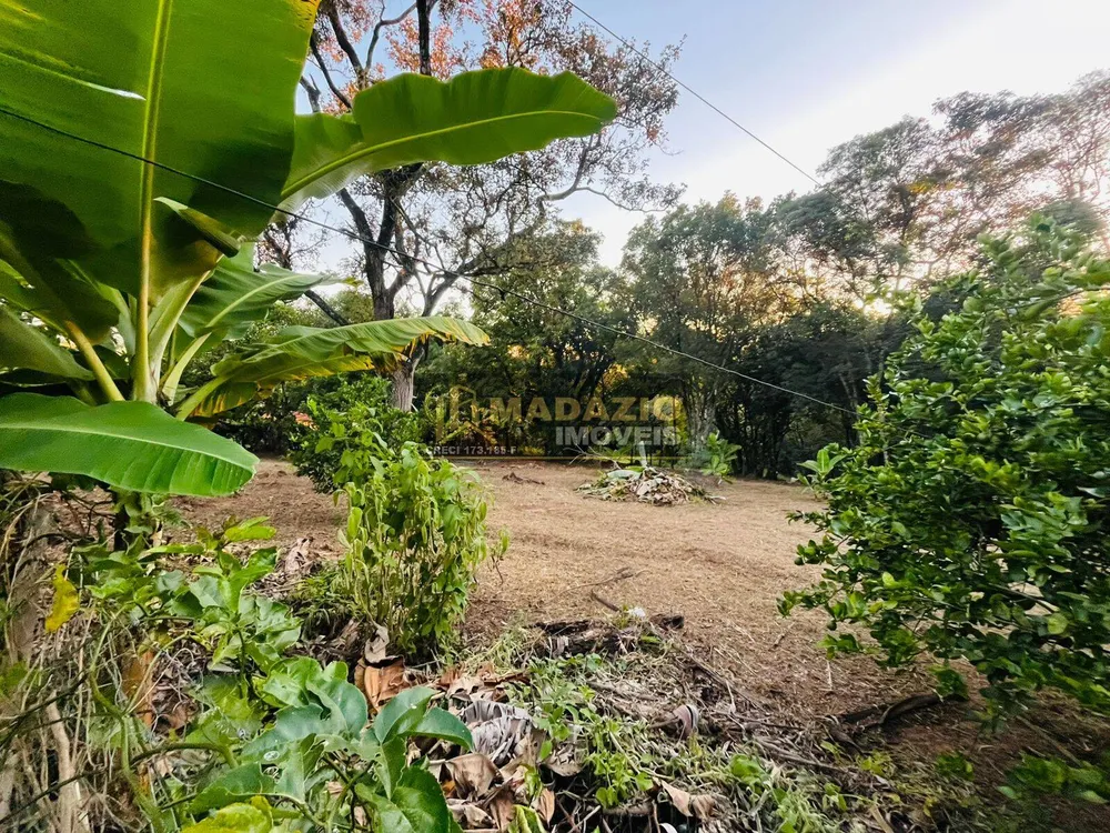 Chácara, 2 quartos, 5000 m² - Foto 3