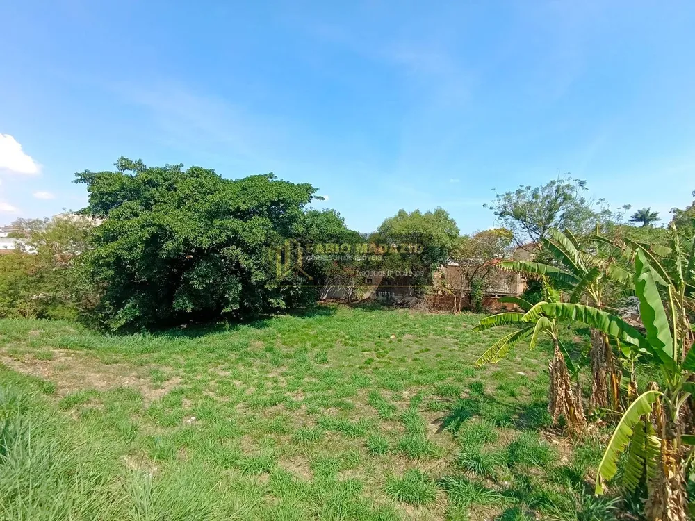 Terreno, 2000 m² - Foto 5