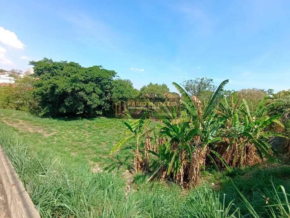 Terreno, 2000 m² - Foto 4