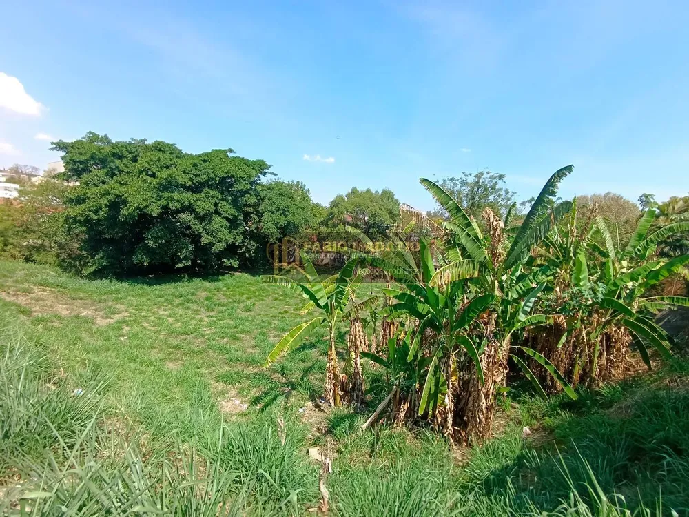Terreno, 2000 m² - Foto 2