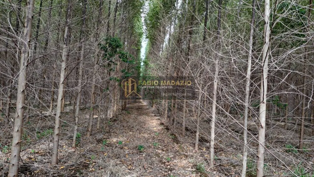 Terreno, 25 m² - Foto 4