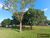 Fazenda, 5000 m² - Foto 3