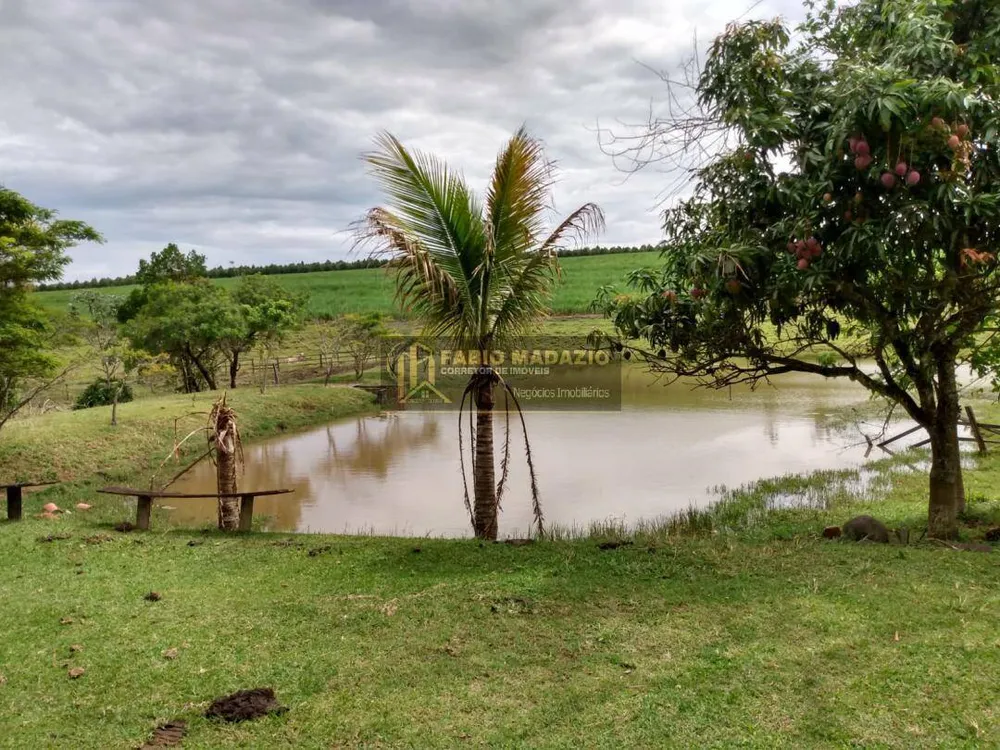 Sítio, 4 quartos, 20 hectares - Foto 7