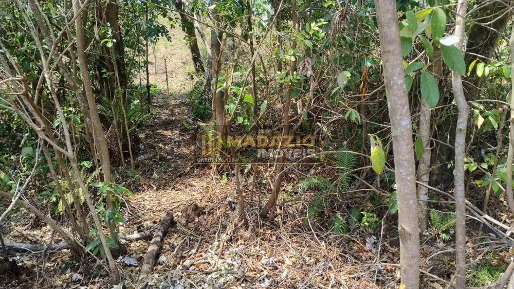 Terreno, 5000 m² - Foto 2