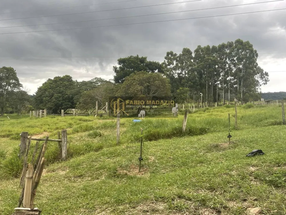 Sítio, 6 quartos, 2 hectares - Foto 6