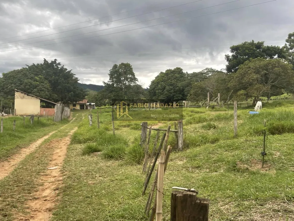 Sítio, 6 quartos, 2 hectares - Foto 8