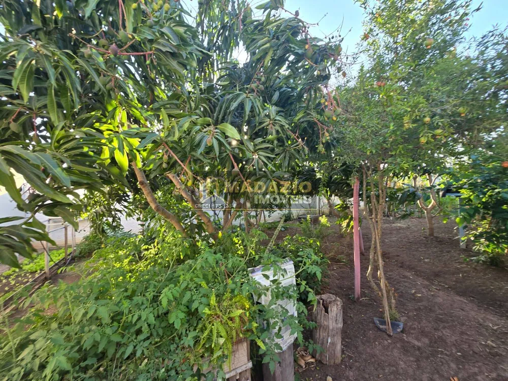 Casa, 4 quartos, 250 m² - Foto 9