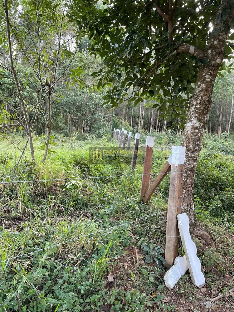 Terreno, 2 hectares - Foto 6